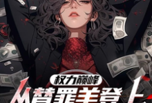 高峰小说免费阅读最新章节列表，权力巅峰：从替罪羊登上青云之巅小说在线看-维C文学