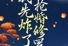 叶楚月轩辕宸小说免费阅读最新章节列表,穿越后,我先炸了抢婚修罗场小说在线看-维C文学