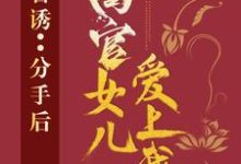 小说官诱：分手后，高官女儿爱上我（路北方）最新章节在哪看-维C文学