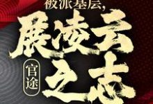 官途：被派基层，展凌云之志在线看，楚昊宇小说大结局在哪免费看-维C文学