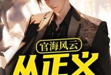 官海风云：从正义开始（何强）完结版免费阅读-维C文学