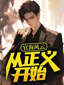 何强小说免费阅读最新章节列表，官海风云：从正义开始小说在线看