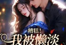 跪求主角是许恩棠陆襟的小说书名叫什么-维C文学