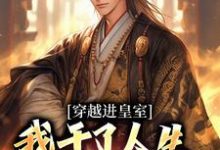 跪求主角是苏离凰九天的小说书名叫什么-维C文学