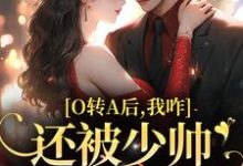 完结版O转A后,我咋还被少帅强取豪夺了在哪免费看,池影霍时晏小说在线阅读-维C文学