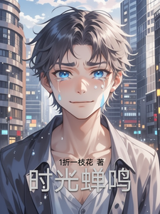 时光蝉鸣精彩章节在线免费阅读（林羽）