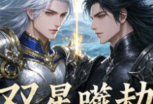 双星噬劫:山海弑神录热门小说(恒焱恒心)在线阅读无弹窗-维C文学