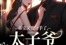 乖宝又要分手了，太子爷求贴贴（主角江颜厉霆骁）完结版免费阅读-维C文学