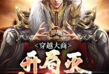 穿越大商，开局灭十万叛军精彩章节阅读(殷寿姬发)免费阅读大结局-维C文学