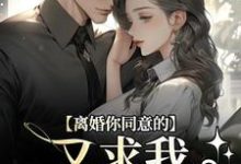 主人公是沈青漓周晏辰的小说离婚你同意的，又求我复婚干什么免费阅读-维C文学