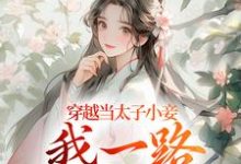 穿越当太子小妾,我一路扶摇直上最新章节穿越当太子小妾,我一路扶摇直上在线阅读-维C文学