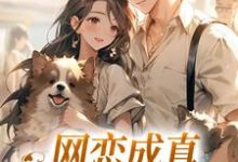 跪求主角是苏念初司徒铮的小说书名叫什么-维C文学