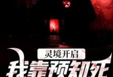 灵境开启,我靠预知死亡技能无敌免费阅读,陈冥肖洁大结局无弹窗-维C文学