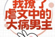 为了活命,我撩了虐文中的大病男主(林瑧陆厌)完结版免费阅读-维C文学