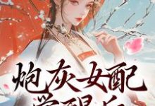 炮灰女配觉醒后：我要宫斗！免费阅读(顾婉盈凤钰昭)小说免费读最新章节-维C文学