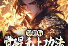 穿越后,觉醒无上功法的我要复仇了精彩章节在线免费阅读(宋终)-维C文学