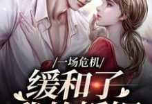 主人公是南迦北铮的小说一场危机，缓和了我的婚姻免费阅读-维C文学