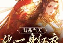 出逃当天，他一身红衣抢掳我热门小说(谢怀柔沈亦之)在线阅读无弹窗-维C文学