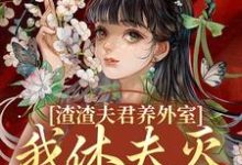 渣渣夫君养外室，我休夫灭妾另高嫁小说最新章节在哪里可以免费看-维C文学