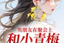 求助这本男朋友在聚会上，和小青梅吻红温了小说在哪里可以看完结版-维C文学