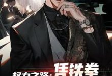 权力之路:凭铁拳,我令黑势力退避精彩章节在线免费阅读(步青云王东林)-维C文学