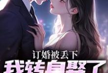 订婚被丢下,我转身娶了娇娇千金免费阅读,江辰苏密大结局无弹窗-维C文学