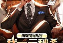 绑定系统后，我一元秒杀一辆奔驰热门小说(林帆唐若冰)在线阅读无弹窗-维C文学