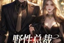 野性总裁穿上娇夫马甲(靳宪廷阮虞)完结版免费阅读-维C文学