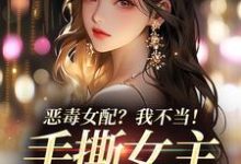 傅京昭温靡在线阅读,恶毒女配?我不当!手撕女主砍男主小说完结版章节-维C文学