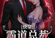 叶兮禾康易初小说免费阅读最新章节列表，快穿：霸道总裁别太爱小说在线看-维C文学