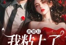 离婚后,我粘上了那位大佬完结版舒愿陆骁免费阅读大结局-维C文学