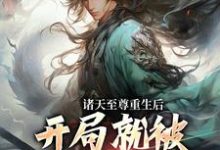 诸天至尊重生后,开局就被频频挑衅(顾云)最新章节在线阅读-维C文学