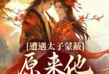 遭遇太子蒙蔽，原来他才是反派热门小说(慕灼华赫连枭)在线阅读无弹窗-维C文学