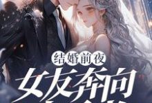结婚前夜，女友奔向白月光精彩章节阅读(秦凯)免费阅读大结局-维C文学