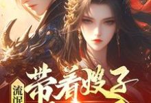 流氓悍匪:带着嫂子黑吃黑(主角齐海)完结版免费阅读-维C文学