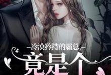 完结版冷漠矜持的霸总，竟是个纯爱战士在哪免费看，宋诗予段斯昀小说在线阅读-维C文学