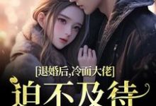求助这本退婚后,冷面大佬迫不及待要娶我小说在哪里可以看完结版-维C文学