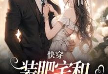 完结版快穿：装肥宅和男主网恋后在哪免费看，泠宝桑泠小说在线阅读-维C文学