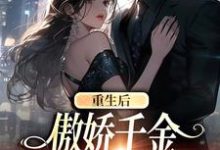 小说重生后,傲娇千金每天都在追夫主角沈念安霍瑾川免费阅读-维C文学