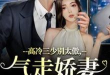 高冷三少别太傲,气走娇妻你完了!精彩章节在线免费阅读(江晚宁庄凌洲)-维C文学
