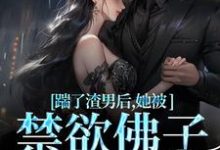踹了渣男后,她被禁欲佛子宠上天热门小说(温霜序陆晏回)在线阅读无弹窗-维C文学