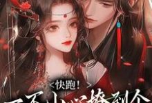 快跑！一不小心撩到个魔王夫君无弹窗裴言礼姜祈安最新章节列表-维C文学