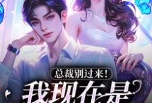 总裁别过来!我现在是事业上升期免费阅读,陆绾绾沈俞瑾大结局无弹窗-维C文学