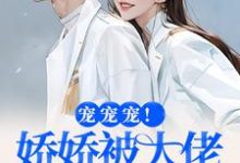 小说宠宠宠！娇娇被大佬拿命宠（叶初夏陆执）最新章节在哪看-维C文学