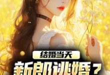 结婚当天,新郎逃婚?我当场改嫁!免费阅读,商悠悠霍元琛大结局无弹窗-维C文学