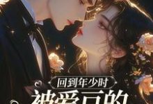 回到年少时,被爱豆的死对头盯上了(主角初夏林澈)完结版免费阅读-维C文学