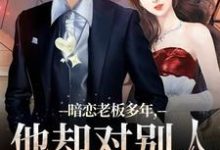 主角是顾楠裴颂忱的小说暗恋老板多年，他却对别人温柔相待在哪免费看-维C文学