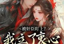 主角是秦烟年沈知也的小说被奸臣盯上？我立了衷心小弟人设！在哪免费看-维C文学
