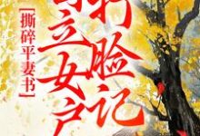 求助这本撕碎平妻书：自立女户打脸记小说在哪里可以看完结版-维C文学