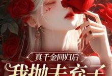 完结版真千金回归后,我抛夫弃子独自美丽在哪免费看,苏黎陆敬煊小说在线阅读-维C文学